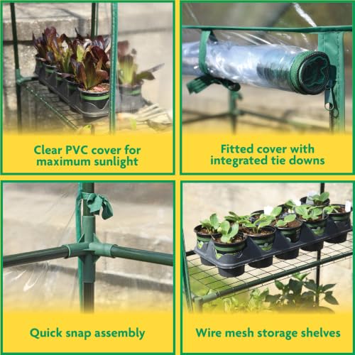 Miracle-Gro Walk-in Greenhouse, Removable Shelves, Clear, 4'8"x29"x6'5 - image 3
