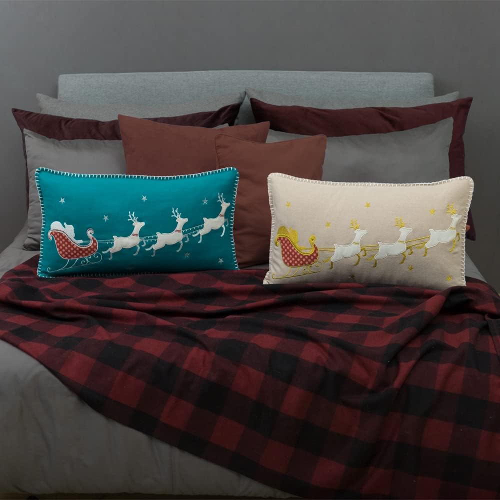 JWH Christmas Reindeer Pillow Cover Decorative Deer Throw Pillow Sleigh Pillow Case Colorful Pillowcase Holiday Cushion for Home Living Room Bedroom 14x24 Inch Beige