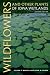 Wildflowers and Other Plants of Iowa Wetlands, 2nd edition (Bur Oak Guide)