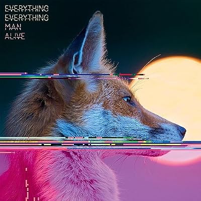 Portada del vinilo Man Alive de Everything Everything