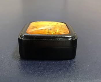 Amazon.co.jp: P茶道具 小松一徳 琥珀 香合 共箱240206い : ホーム