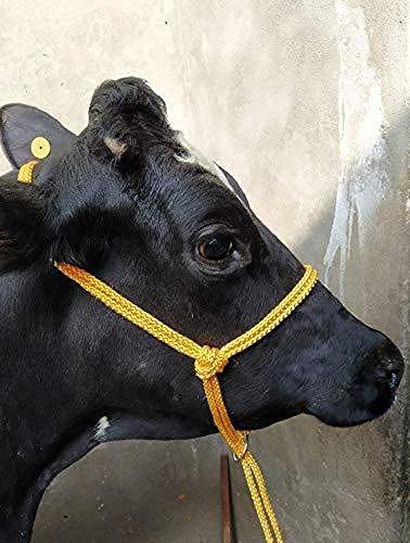 See full amazon price history chart for Cow/Buffalo/Bull Nylon Mohri Mohra Mohrki (7 Meter) - Available in Red Color Cow/Buffalo/Bull Nylon Mohri Mohra Mohrki (7 Meter) - Available in Red Color (B09GW426S2) Amazon Price History, Amazon Price Tracker