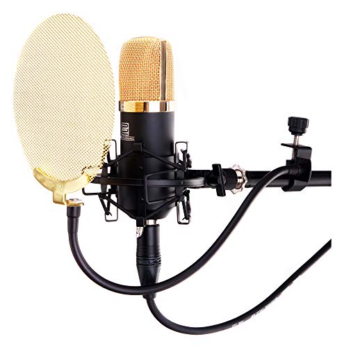 Pronomic PK-20G Professionneller Poschutz (13,5cm Popkiller für Recording, Vergoldete Metallmembran, Plopkiller, mit Klemme und Schwanenhals)