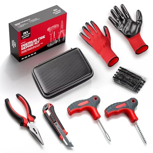 Detailing Garage Kit di Riparazione Pneumatici - Kit di Riparazione forature per Auto - La Soluzione Ideale per Riparare forature per Auto, Moto, Camion, furgoni - 20 Corde e Custodia