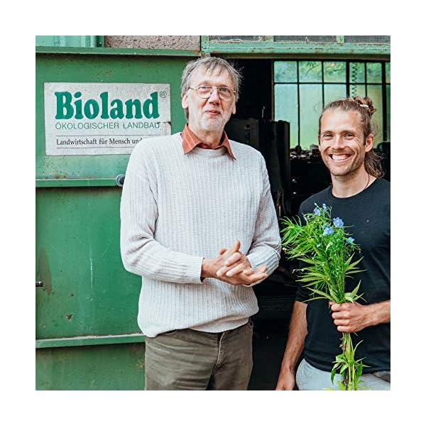 AHO Goldene Leinsamen aus deutschem Bio-Anbau 850g | 100% Plastikfrei, Regional, Öko | Lokales Superfood (850g) – Bild 8