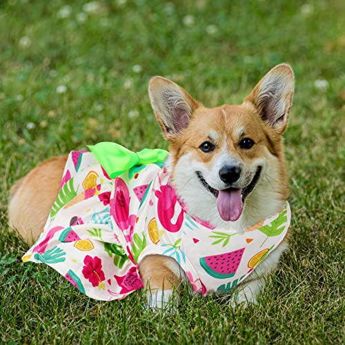 Leifide 8 Pcs Summer Themed Hawaii Dog Dresses Holiday Dog Dress Flamingo Fruit Floral Pattern Pet Skirts Hawaii Puppy Princess Dresses Outfits Bowknot Puppy Dresses For Girl Dogs Cats Beach (Xl) #TOP5