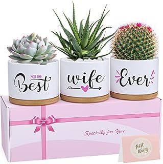 Birthday Gifts for Wife from Husband, Romantic Christmas Anniversary Wedding Valentines Day Gifts for Wife, Best Wife Ever Succulent Pots for Plants Indoor & Outdoor, Arrive Beautifully Gift Boxed