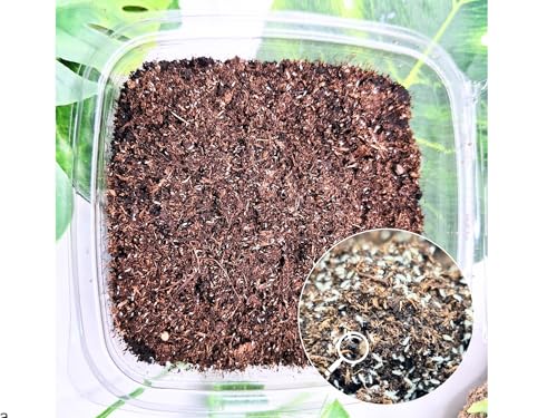 60g Live Springtails Culture Perfect Bioactive Insects and Clean Up Crew with Isopods for Terrariums & Vivariums Nutritious Live Bugs Food over 100+ Springtails in soil