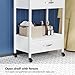 OmySalon Salon Trolley Cart with Wheels, Esthetician Cart with 2 Drawers & 2 Trays, Mobile Storage Organizer for Beauty Spa Massage Tattoo Esthetic Facial Tool Holder Station, White