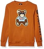 southpole kleidung Rundhalsausschnitt Southpole Jungen Fleece Crewneck Sweatshirt, Rostbär, Large