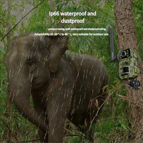 Cámara de sendero al aire libre 4G impermeable IP66 con carga solar 6