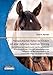 Produktbild Therapeutisches Reiten bei Kindern mit einer Autismus-Spektrum-Störung: Die Einflüsse von Hippotherapie, ergotherapeutischer Behandlung mit dem Pferd ... und soziale Interaktion von Kindern mit ASS