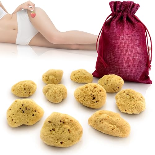 tom&pat Esponja menstrual, alternativa a los soft tampons - DERMATEST: MUY BUENO, caja de cambio para llevar, esponja natural lavable y reutilizable (Talla M / 10 x 5-7 cm)