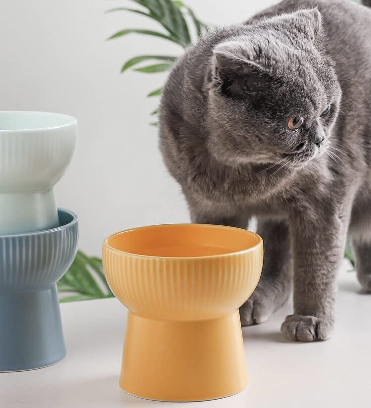Image of PETANGEL Ceramic Cat Food Or Water Bowl, 2 Pcs Raised Cat Feeder Dishes with Stand, Elevated Pet Food Bowl for Cats and Small Dogs, Stress Free Backflow Prevention & Reduce Neck Burden
