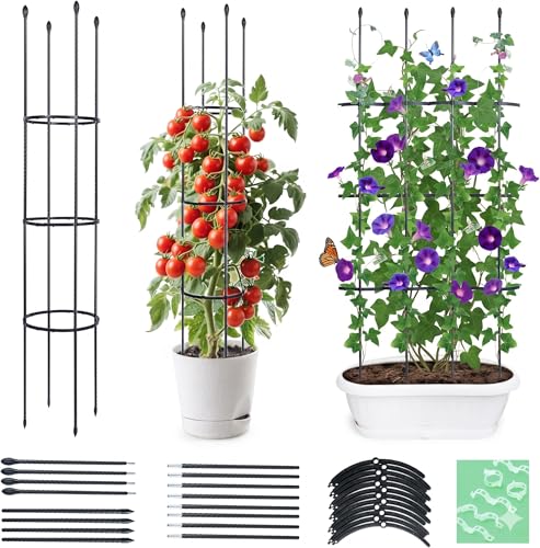 ThxToms Garten Rankhilfe aus Metall Kern 160CM mit 20*Pflanzenclips | Tomatenkäfig Pflanzenstütze Obelisk Klettergerüst Spalier| Rankgitter Kletterhilfe | Pflanzen,Tomaten,Rosen,Gurken