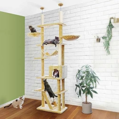 Lbgc[ ˂  235`255cm  60cm L^[ VjA ^s L gݗ ݒu ȒP ܂Ƃ  Ki nbN nEXt XNb`  L ˂ ybgpi ybgObY x[W