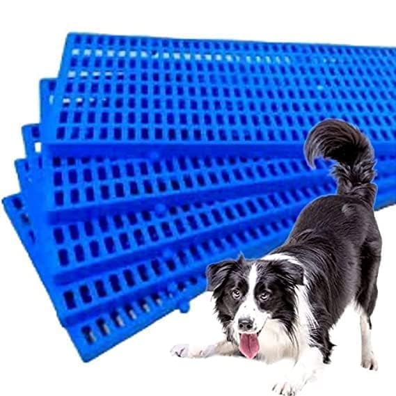 SSM PET MART Pet Plastic Floor Mat 36 x 12 Inch Heavy Duty Waterproof Flooring Bed Mat for Dogs/Cat/Rabbit/Goat (Blue, Set of 2) (B0CLRF8L6B) Amazon Price History, Amazon Price Tracker