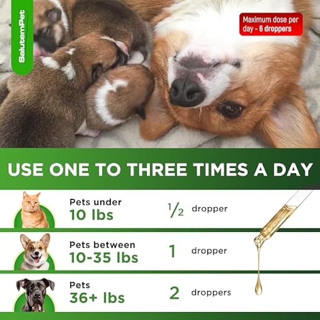 Dog Prenatal Vitamins for Moms During Lactating ¨C Prenatal Vitamins for Dogs & Cats of All Breeds to Care for Pet Development ¨C Multivitamin for Cats ¨C 2 Oz ¨C Herbal Supplement for Pets-B088NUya