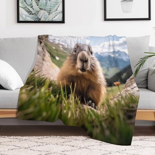 Couverture légère marmotte pour vos soirées cocooning