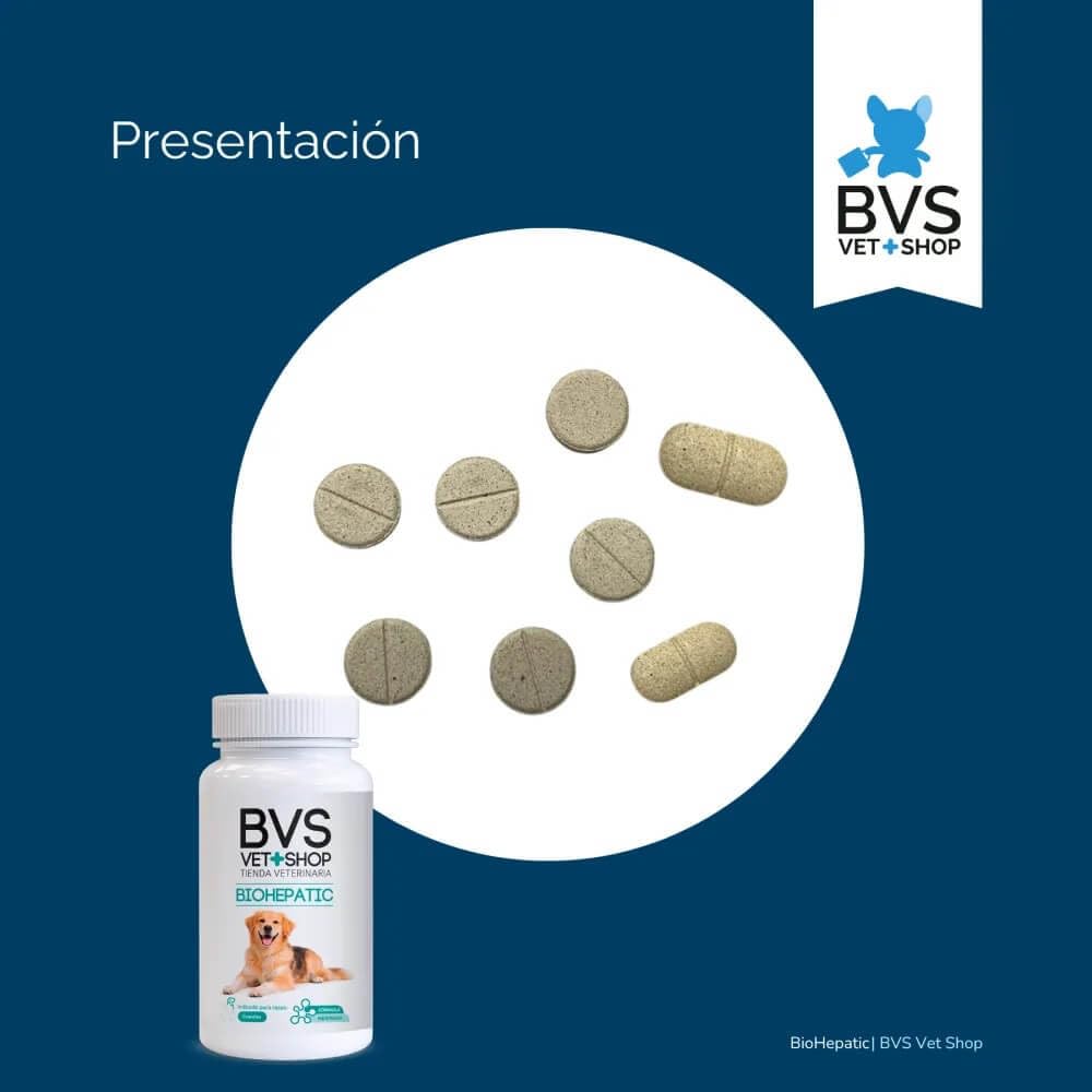BVS Vet Shop | BioHepatic 40 Comprimidos para Perros | para la reducción de trastornos de la absorción intestinal, hepáticos, renales y cardiacos | Razas Pequeñas