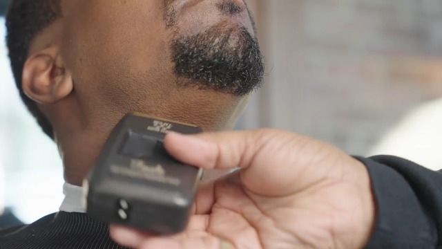 Amazon.com: Wahl Professional 5 Star Series Finale Shaver