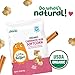 Little Bellies Organic Cinnamon Bun Softcorn Toddler Snack (5 x 1.25 oz Individual Packs)