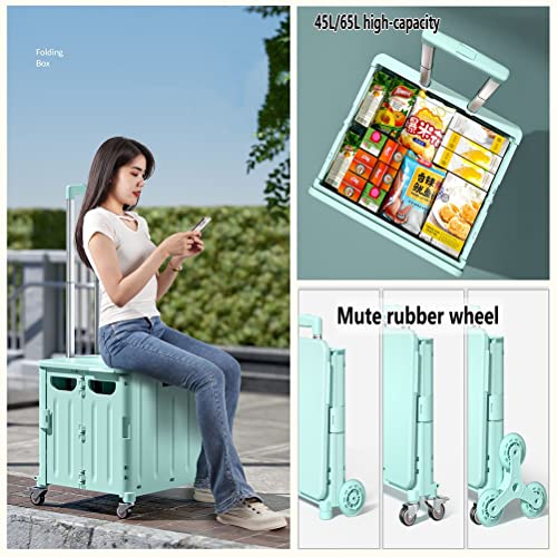 Chariot utilitaire pliable à roulettes robuste pour coffre et marché