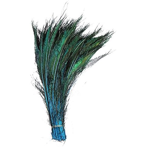 Peacock feather,Hgshow 50 Piece Peacock Swords Natural Feathers 13-15 inches Cover
