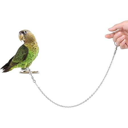 Amazon Potato 鳥用ハーネス インコ専用鳥の足輪 リード ハーネストカゲ小動物用アウトドア お散歩 迷子防止 足チェーン リーシュ 運動不足 ウォーキング インコトレーニング縄 足リング 足リング内径7ｍｍ Potato キャリー 通販