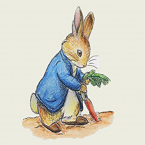 Peter Digs Carrots Pattern