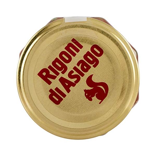 Rigoni-di-Asiago-Nocciolata-Organic-Spread-Hazelnut-with-Cocoa-and-Milk-6-Count Rigoni di Asiago Nocciolata Organic Spread, Hazelnut with Cocoa and Milk, 9.52 Ounce (Pack of 6)