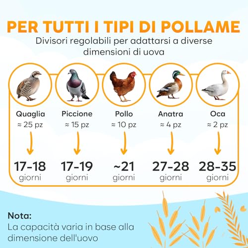 Okkobi M12 - Incubatrice Per Uova Automatica Con Girauova Automatico E Controllo Umidità - Facile Da Usare E Pulire, 12/24 Uova, Vista A 360°, - Incubatrice Uova Gallina - 6