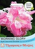 【輸入種子】 Thompson&Morgan MORNING GLORY Spilit Second Double モーニング・グローリー(朝顔)・ スピリット・セカンド・ダブル トンプソン&モーガン 【輸入種子】 Thompson&Morgan MORNING GLORY Spilit Second Double モーニング・グローリー(朝顔)・ スピリット・セカンド・ダブル トンプソン&モーガン
