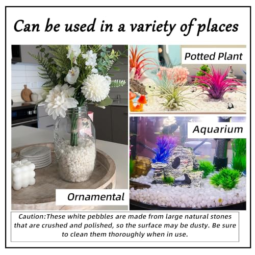 Image of CJGQ 1 /4 inch Small White Rocks for Plants,Potting,Succulents Aquarium Fish Tank Garden Vases Decorative Pebbles Gravel Rocks Stones 45lb