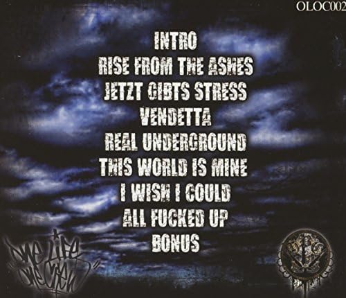 Rise From The Ashes - 1