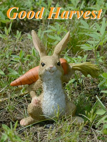 Statuette lapin originale Gemmia idee cadeau pour cremaillere - 4