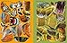 Build your own deadly animals - Sticker book