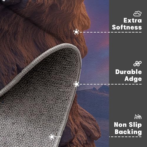 Tapis Entree Interieur Grottes Lavable en Machine et Antidérapant