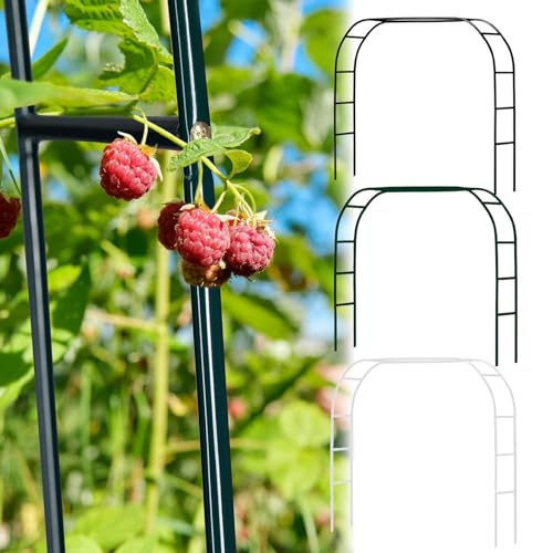 Arche de jardin en métal anti-rouille pour supporter plantes lourdes