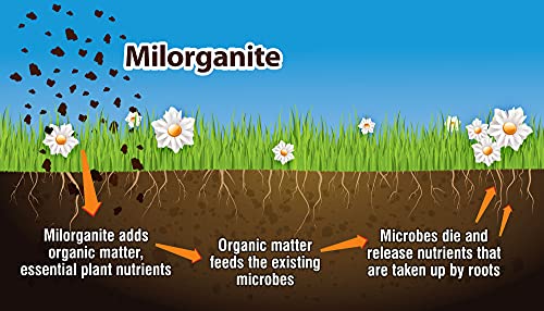 Milorganite 32 lb. Slow-Release Nitrogen Fertilizer
