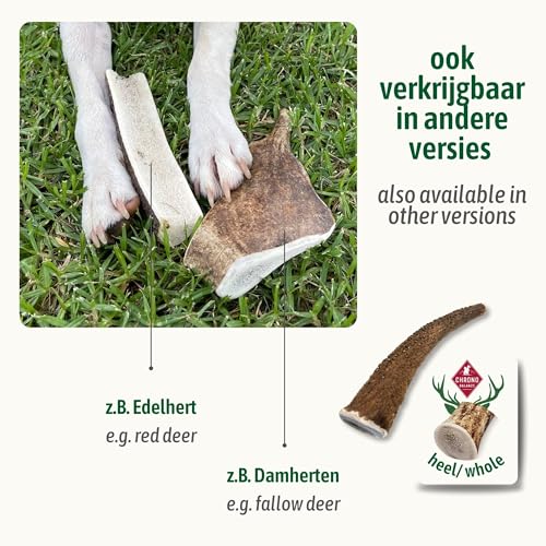 ChronoBalance® XL Kaustange für Hunde ganze Stücke als Kauspielzeug: 100% Hirschgeweih für Hunde, Hundespielzeug, Leckerli Zahnpflege, Kausnack, Geweih Kauknochen, Natürlich ohne Zusätze (1er Set)