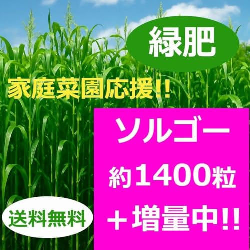 100ȏ㑝ʒI\S[̎큝1400001