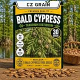 30 Bald Cypress Tree Seeds | Taxodium Distichum Seeds for Planting