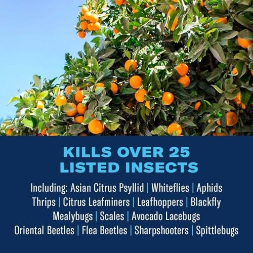 BioAdvanced Fruit & Citrus Tree Insect Control Concentrate - Pest Control for Gardens - 2 Month Infestation Prevention - Treats Up to 9 Fruit Trees - 32 oz Bottle