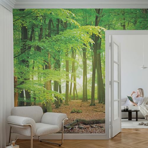 Papier peint facile à nettoyer avec colle incluse 416x254 - 4