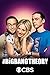 The Big Bang Theory Temporada 1-10 Blu-Ray [Blu-ray]