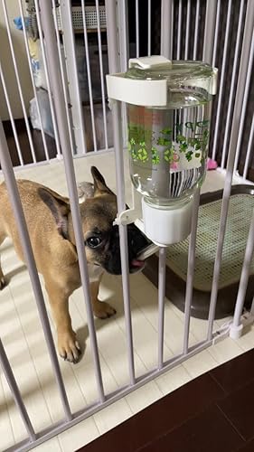 Amazon | キンペックス 犬 猫 給水器 ネオシンプルオアシス ウォーター