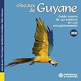 cimier seven seas  Platyrhynque à cimier orange