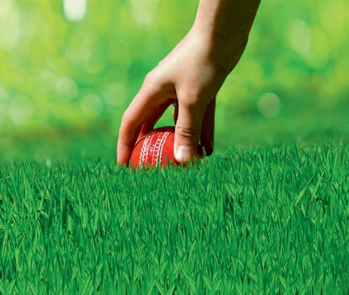 Foto von Rasensamen - Sport- und Spielrasen 500 g von Kiepenkerl