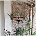 Happyyami Bird Cage Dung Tray Bird Cage Accessories Bird Cages Accessories Bird Cage Trays Replacement Bird Cage Liners Bird Accessories for Cages Bird Cage Coffee